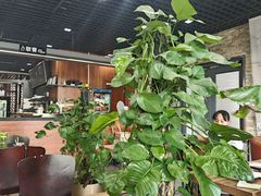 -首都图书馆-咖啡厅