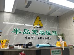 -半岛宠物医院24小时(白果林店)