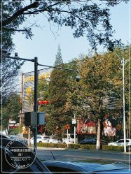 -中国黄金(北京旗舰店)