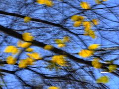 -华南国家植物园-售票处