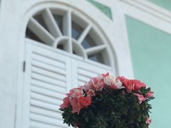 -龙环葡韵住宅式博物馆