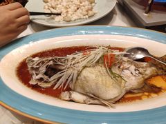 -高老庄新家宴(北斗星广场店)