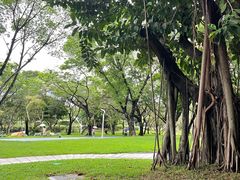 -人民公园(罗湖区)