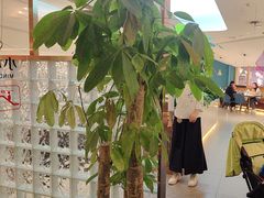 -悦海·家宴·冰花皮皮虾大锅贴(宝龙店)