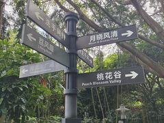 -月亮湾公园