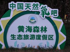 -黄海国家森林公园