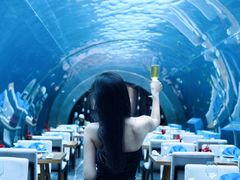 -涛·海底餐厅·美人鱼·自助餐·海底隧道(三亚海棠湾洲际度假酒店)