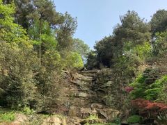 -铁山坪森林公园