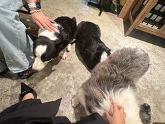-自由生长植物工作室(深港花卉中心店)
