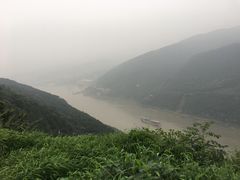 -铁山坪森林公园