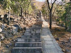-北京十三陵国家森林公园蟒山景区