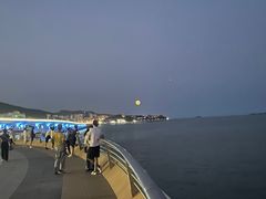 -演武大桥观景平台