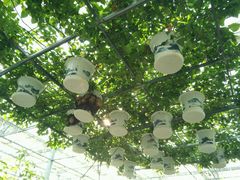 -中国农科院国家农业科技展示园