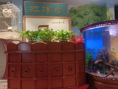 -海碗居老北京炸酱面(增光路店)