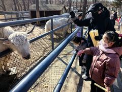 -长白岛森林公园