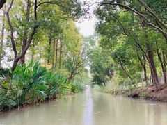 -上海长兴岛郊野公园