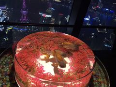 -上海环球金融中心云端足球盛典