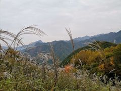 -石砭峪水库