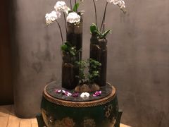 -若蘭慈·无国界素食料理(欢乐海岸店)