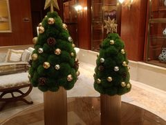 -广州富力丽思卡尔顿酒店