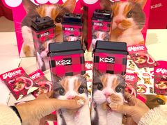 -K22.酸奶草莓(烟台芝罘店)
