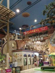 -卡通尼·Safari非洲探索乐园·生日会(金桥国际商业广场店)