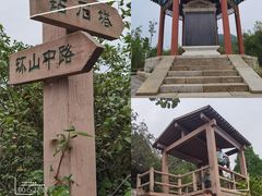 -府君山公园