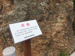 -羚羊峡古栈道森林公园