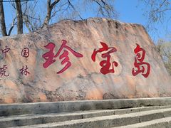-珍宝岛