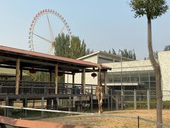 -石家庄市动物园