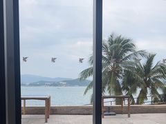 -雾山韩式烤肉·海南糟粕&椰子鸡火锅·海景餐厅(三亚绿发山海天JW万豪酒店)