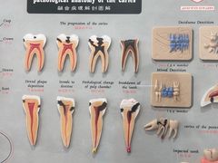 -北京地坛口腔门诊部