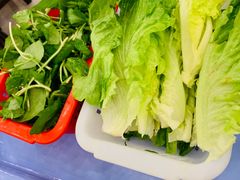 -正能量脆肉鲩火锅