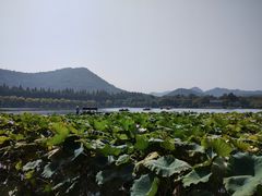 -家烧面馆【南山路知名经典面食】