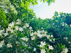 -狼山风景名胜区