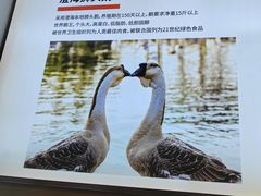 -陆记鹅庄·潮汕菜·狮头鹅(大仟里店)