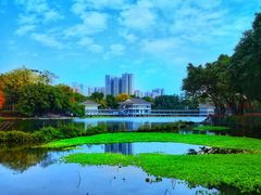 -荔湾湖公园