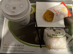 -麦当劳(从化从城大道店)