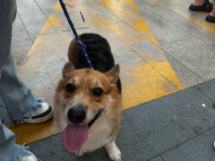 -观澜湖新城运动奥莱区