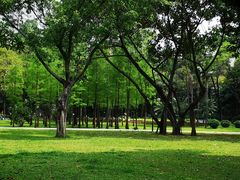 -晓港公园