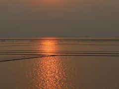 -滆湖低碳生态公园