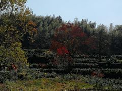 -塔川景区