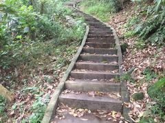 -火炉山森林公园