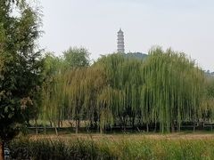 -北坞公园