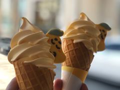 -麦当劳(石家庄北国店)