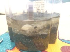 iphone_upload_pic-嵊泗基湖沙滩
