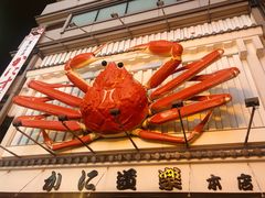 -蟹道乐(道顿堀本店)