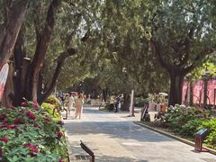 -北京市劳动人民文化宫(太庙)