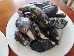 淡菜-阿军排档·烧烤