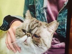 -猫色咖啡·猫咖